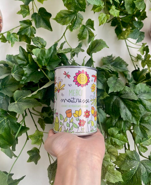 Kit à semer - Merci Maîtresse/Merci