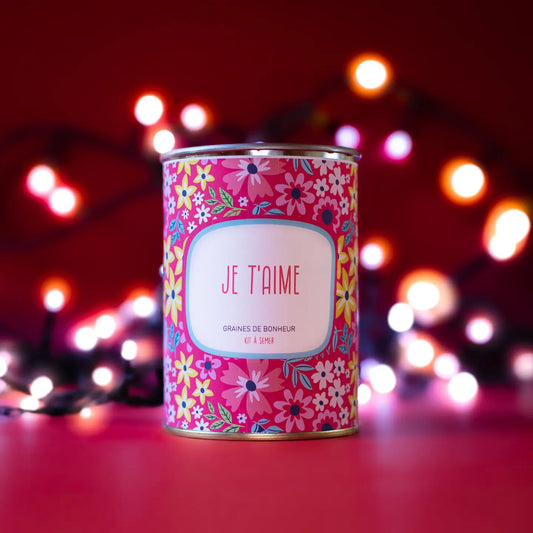 Kit à semer - Graines de fleurs sauvages